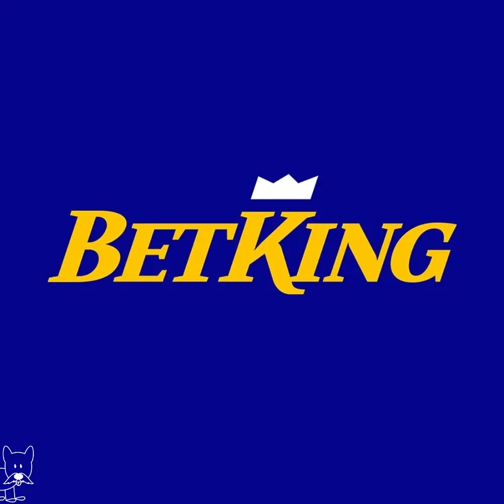BetKing Aviator Banner