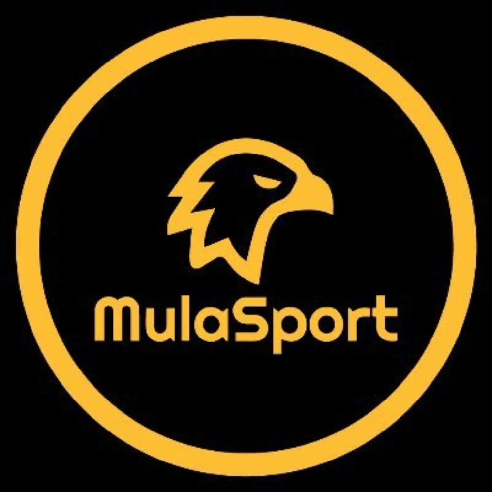 MulaSport Aviator Banner