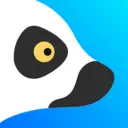 Lemur logo